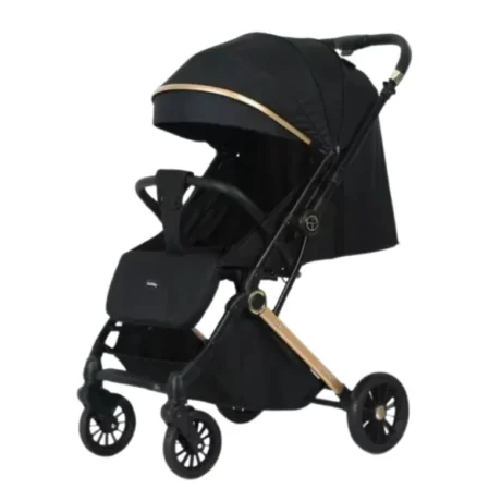 Poussette Réversible Burbay AG9155