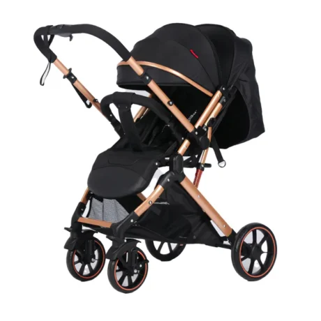 Poussette Luxueuse Belecoo B1